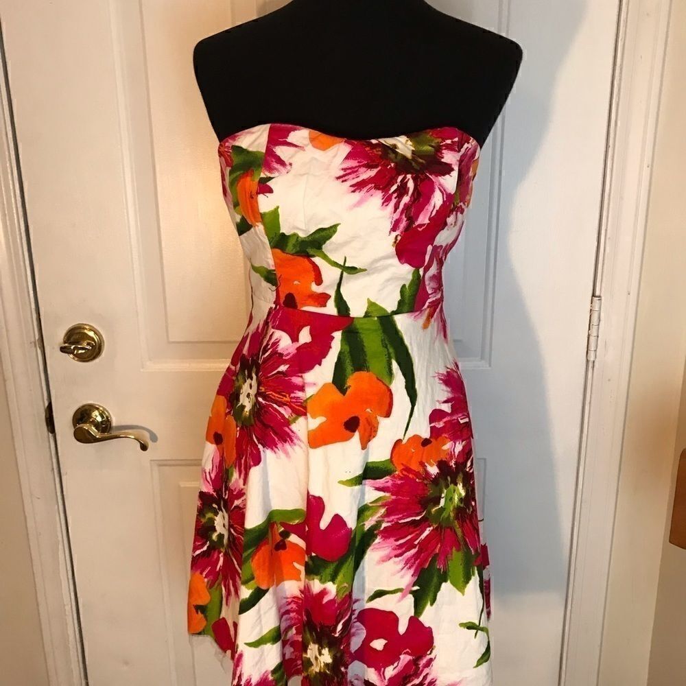 NWT Gorgeous Flattering Size 1 Dress!